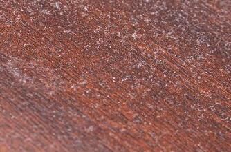 對(duì)于家里灰塵的清理，有什么方法嗎？